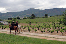 Spain-Galicia-Pilgrimage Route to Santiago de Compostella